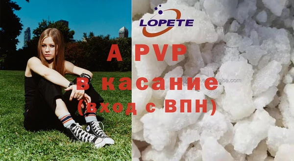 шишки Алексин