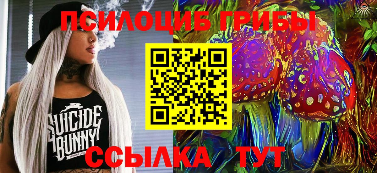 Псилоцибиновые грибы GOLDEN TEACHER  дарнет шоп  Звенигород  Вход с VPN  Псилоцибиновые грибы мицелий 