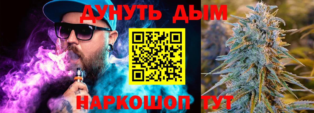 Каннабис сатива Звенигород